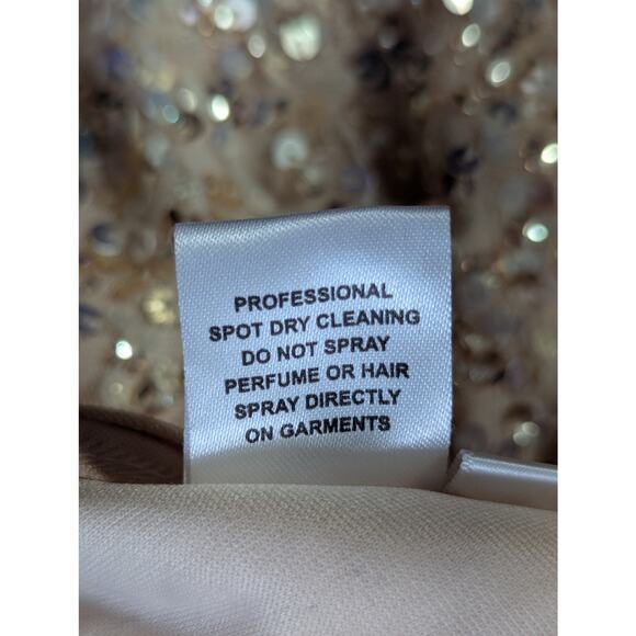 NWOT! CHANDALIER! CHAMPAGNE PINK/BEIGE ULTRA GLAM BEADED/SEQUIN GOWN! SZ 000 - Picture 13 of 14